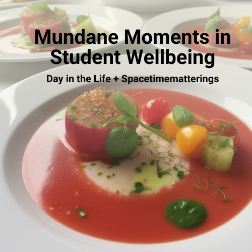 Exploring university student wellbeing through the lens of mundane activities